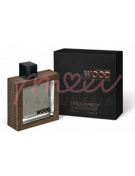Dsquared2 He Wood Rocky Mountain Wood, Toaletná voda 100ml - tester